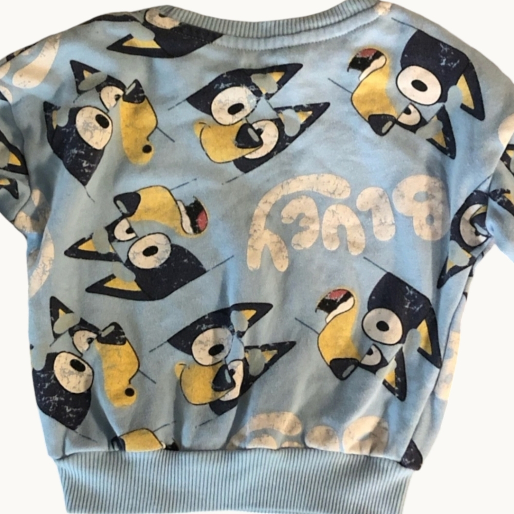2T Bluey sweater